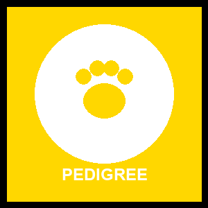 Pedigree