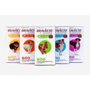 Bravecto Chew for Dogs