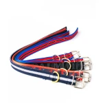 Nylon Collar for Medium Dogs, 13 -18 inches neck, 1.5 inch wide