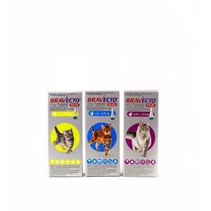 Bravecto Plus Spot-On for Cats